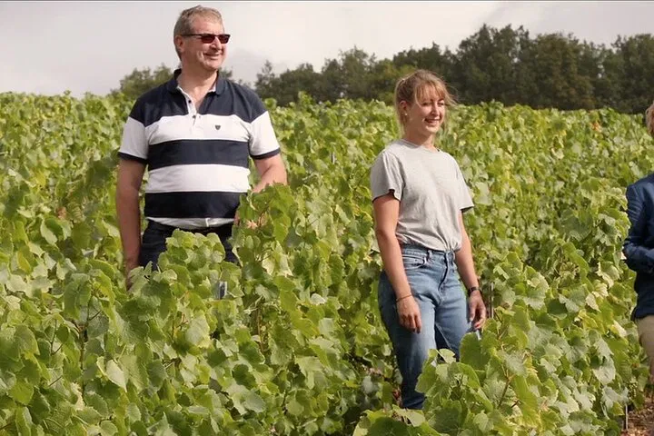Unveiling Champagne's Secrets: Cellar Tour & Tasting in Ay