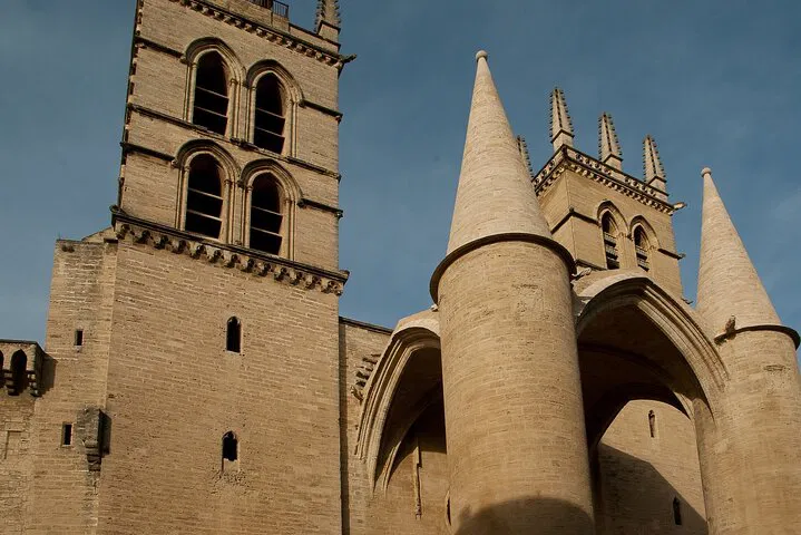 Uncover Montpellier's Secrets: A Private Historic Walking Adventure