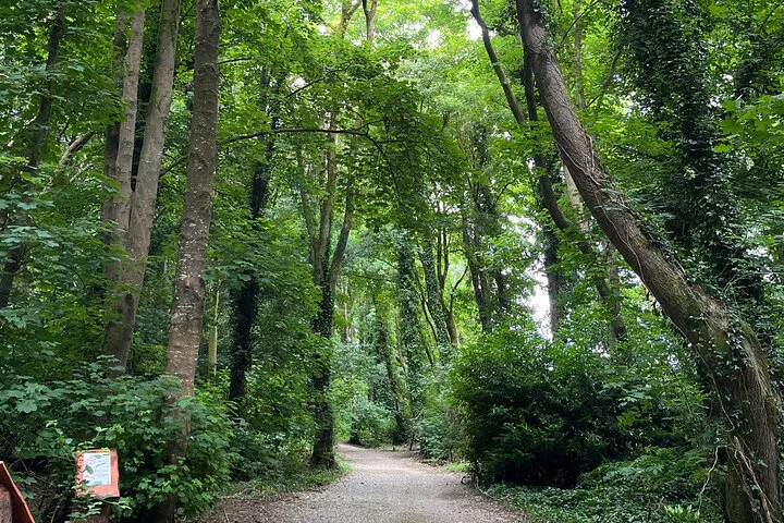 Unleash Family Fun: Treasure Hunt Adventure at Fota Island Resort