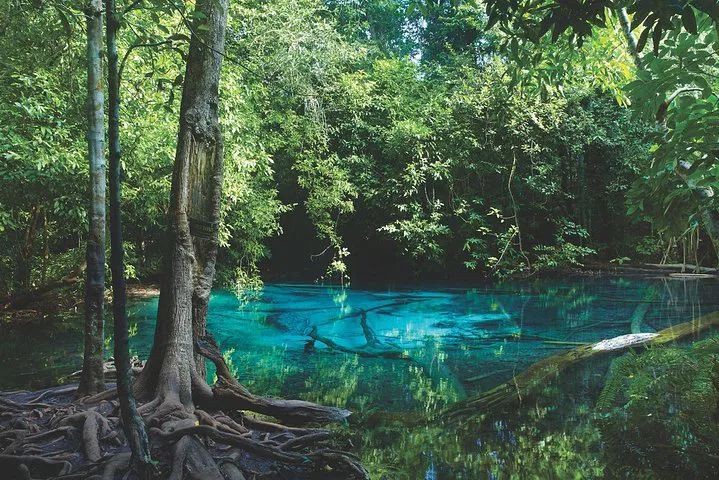 Krabi's Wild Side: Kayak, Swim & Temple Private Tour!