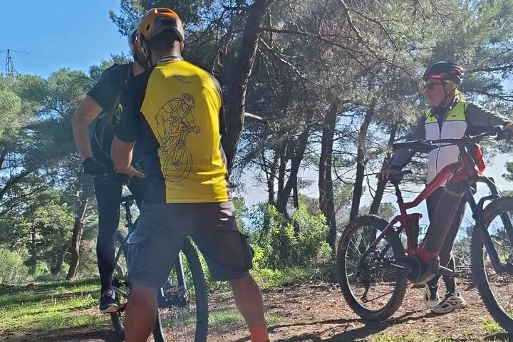 MTB Skills: Conquer Trails with Basic Course