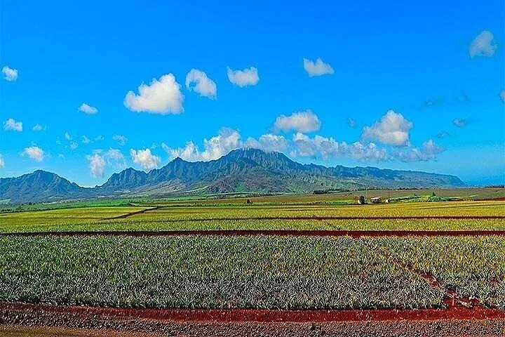Discover Oahu's Hidden Gems: A Grand Circle Island Adventure from Maui
