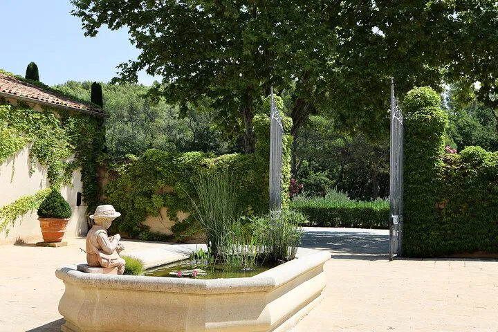 Luberon Wine, Olive Oil & Castle Tour from Aix