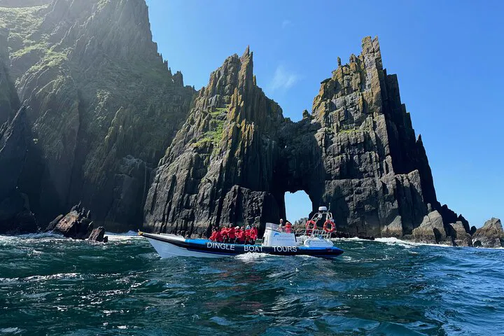 Dingle's Wild Atlantic: RIB Adventure for Wildlife Encounters