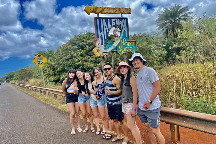 Waikiki to Dole & Haleiwa Shuttle: Roundtrip Adventure