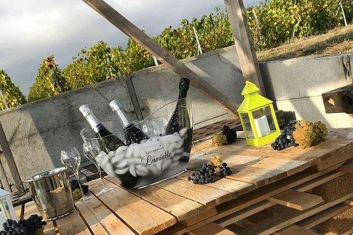 Unveiling Grand Cru: Stroll & Taste Champagne Lamiable in Reims' Vineyards