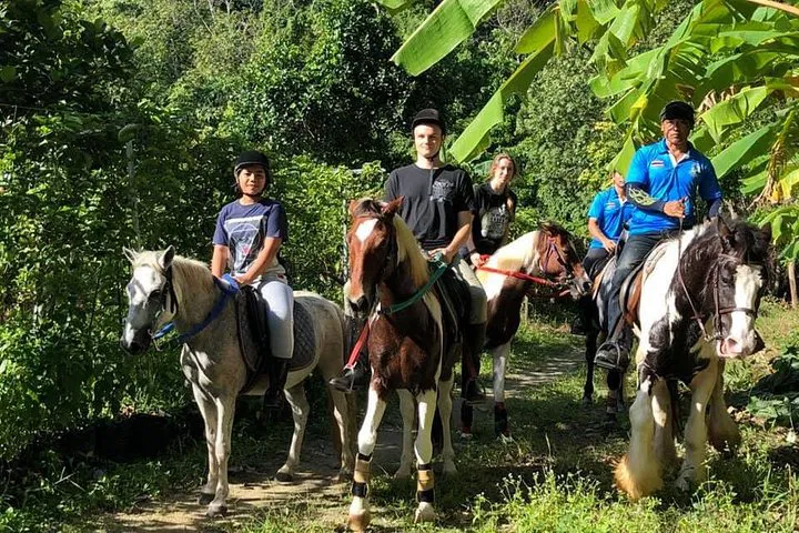 Phuket's Big Buddha Hill: A Beginner's Horseback Adventure