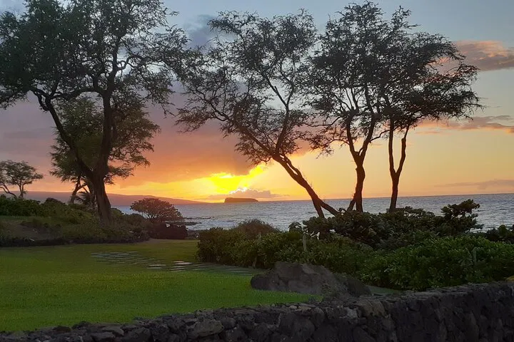 Maui First-Timer's Delight: Unforgettable Island Discovery Tour!