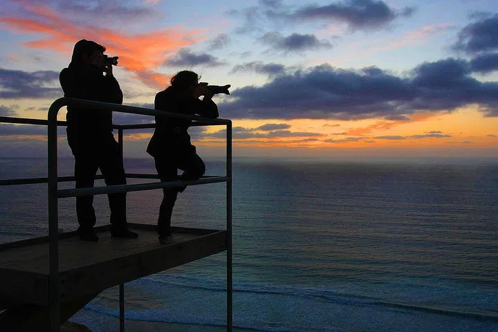 Coastal Beauty: Capture San Diego's Sunset & Night Magic with a Pro Photographer