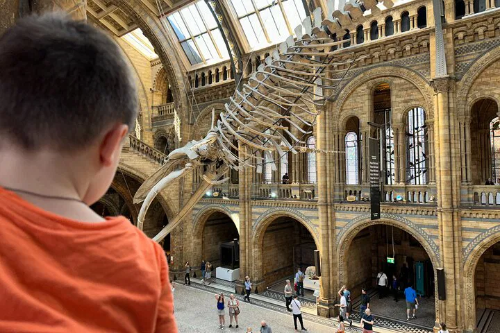 Roar into History: A Kid-Friendly Dinosaur Adventure at London's Natural History Museum!