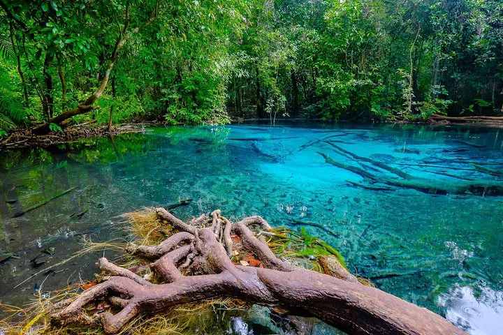 Krabi Nature Tour: Emerald Pool & Tiger Cave Temple