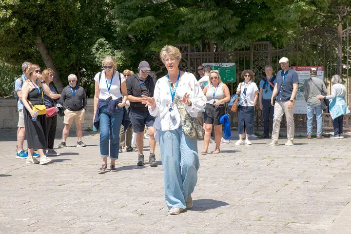 Uncover Avignon's Secrets: A Historical Walking Adventure