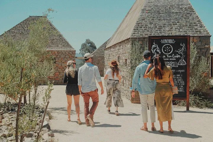 Valle de Guadalupe VIP Wine Tour: Escape Tijuana for a Day of Private Indulgence