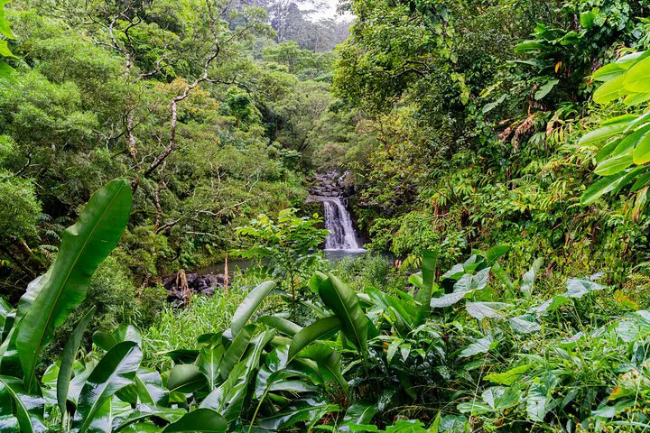 Unforgettable Hana Adventure: Your Private Road to Paradise from Wailea-Kihei!