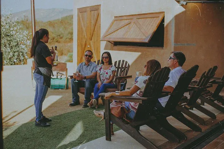 Xecue Wine Tasting: Guadalupe Valley's Best Wines
