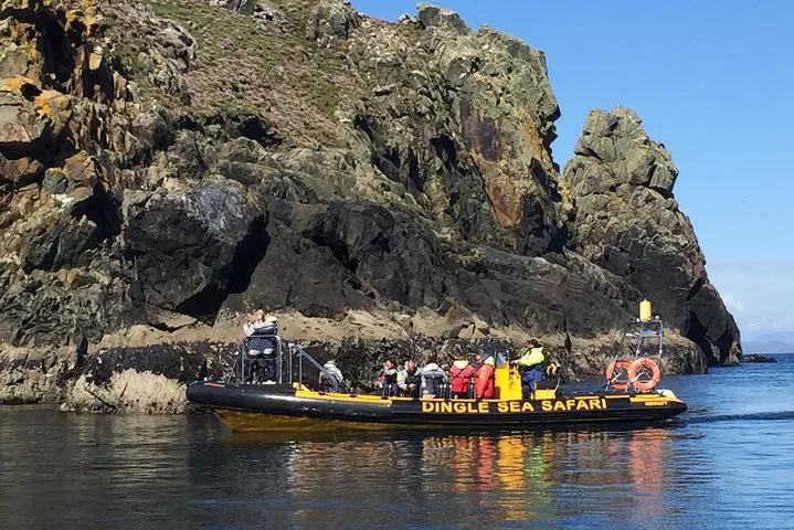 Dingle Sea Safari: Rib Ride Adventure in Dingle Bay
