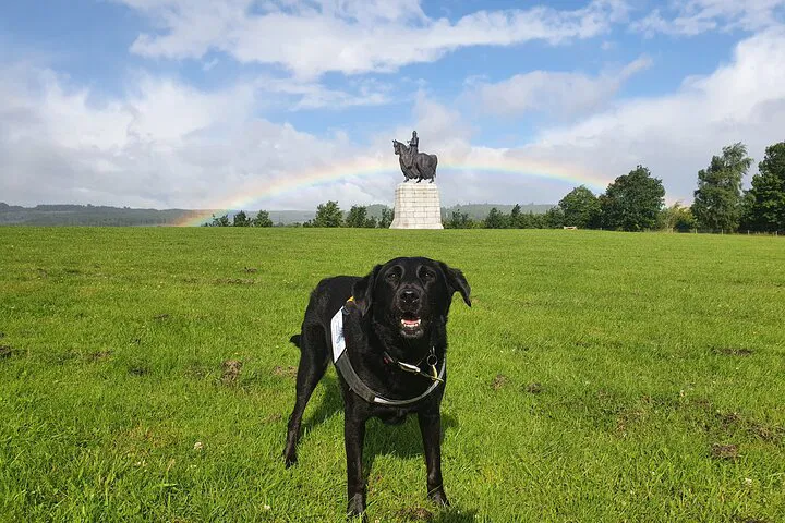 Bannockburn Battlefield Tour: Walk Scotland's Historic Hallowed Ground