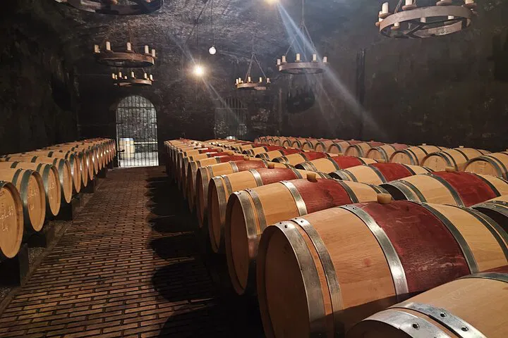 Châteauneuf-du-Pape & Luberon: Wine Tour from Avignon
