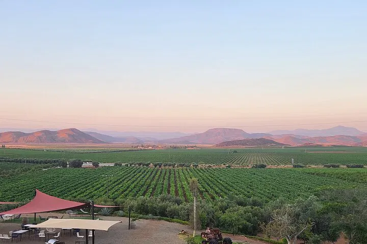 Private Wine Tour: Valle de Guadalupe Escape