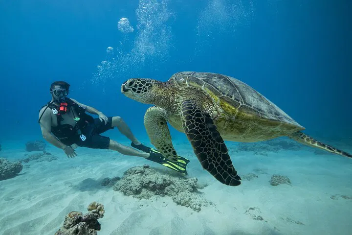 Explore Oahu's Underwater World: Certified 2-Tank Reef Dive Adventure