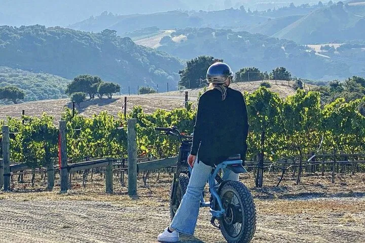 Carmel Valley E-Bike Wine Tour & Tasting