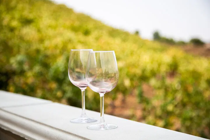 Uncork Temecula: A Luxurious Wine Escape from Orange County