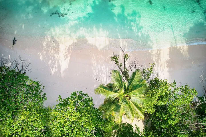 Discover Mahe's Splendor: An Exclusive Island Tour for Your Group