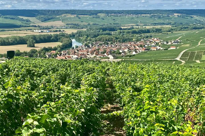 Champagne Dreams: A Luxurious Private Day Trip from Paris