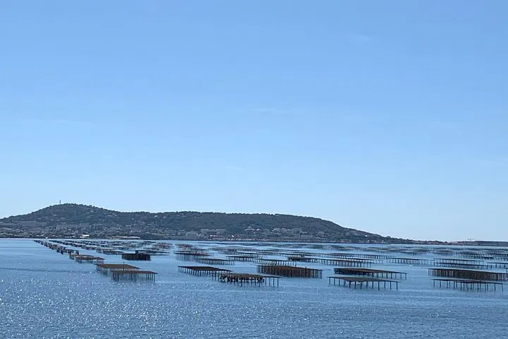 Sète Unveiled: A Private Culinary & Historical Wine Tour