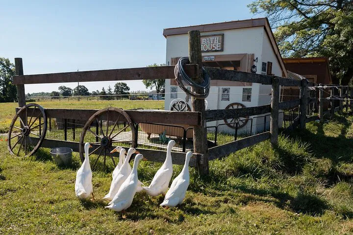 Humberstone Ranch: Unforgettable Animal Bonding Experience