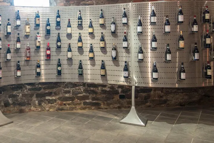 Unveiling Barolo's Essence: A Wine Tasting Journey in Castiglione Falletto