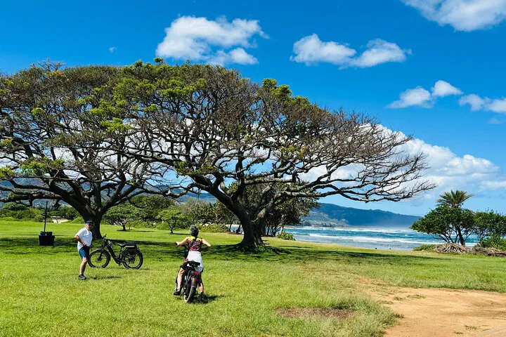 North Shore E-Bike Tour: See Haleiwa's Hidden Gems
