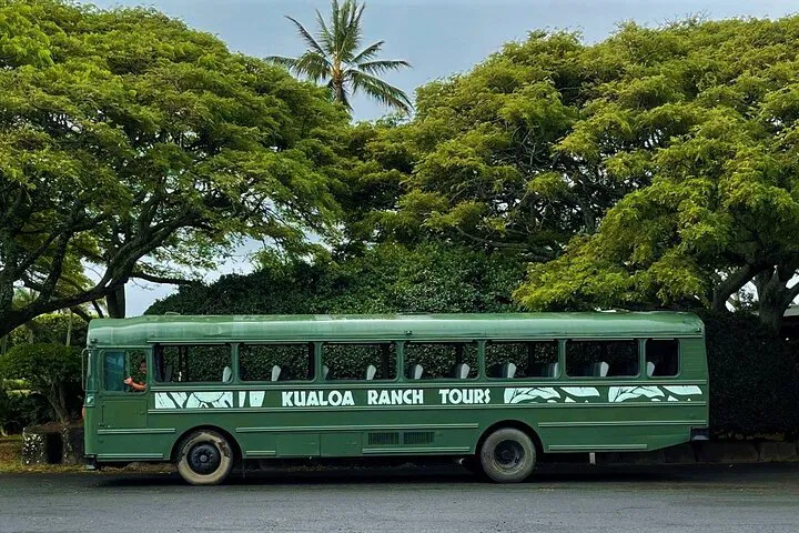 Kualoa Ranch Movie Tour: See Jurassic Park Filming Sites