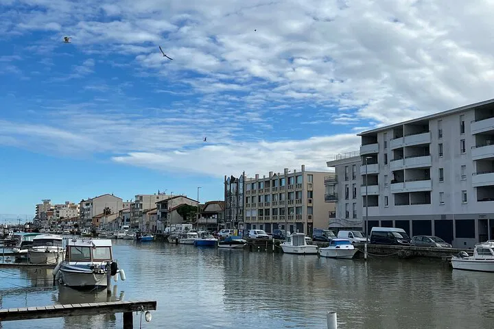 Glide Through Montpellier: An Electric Bike Adventure by the Sea