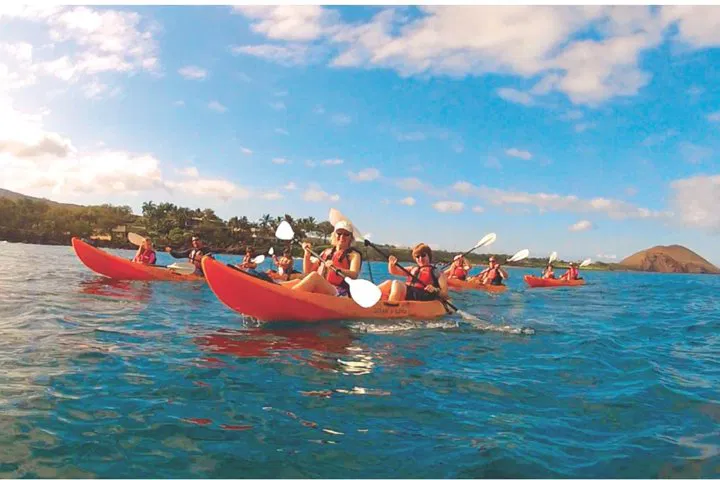 Makena Turtle Town Eco-Adventure: Kayak & Snorkel with Maui's Sea Turtles!