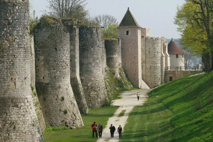 Provins & Fontainebleau: Private Day Trip from Paris