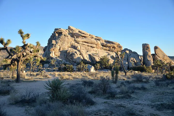 Unveiling Joshua Tree's Wonders: A Luxurious 2-Day Private Escape