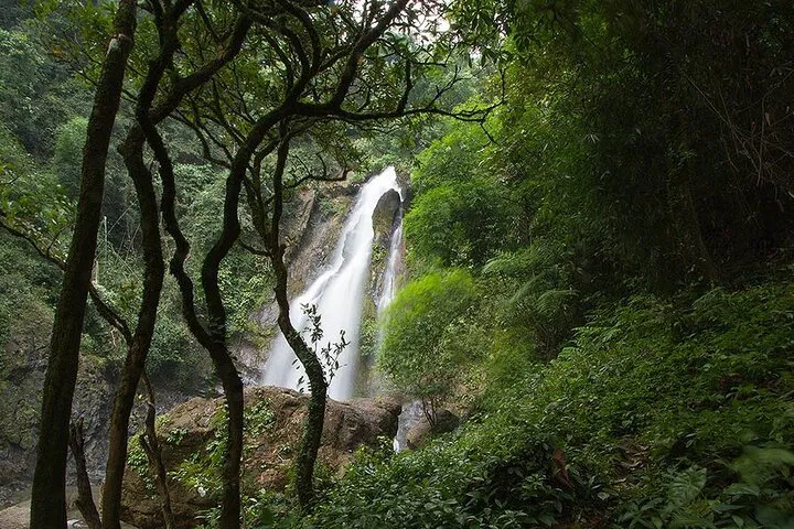 Thailand's Nature and Culture Immersion: A Day of Exploration and Discovery