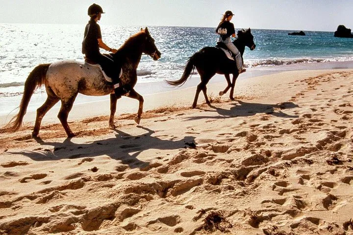 Krabi Horse Riding: Beach & Village Tour