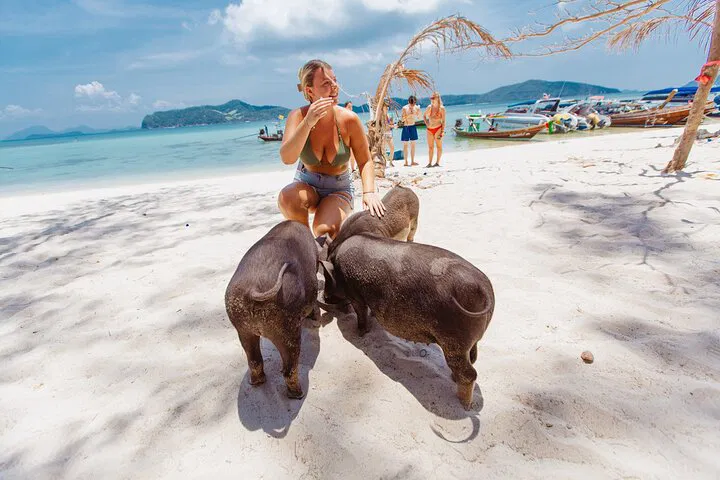Pig Island: Private Longtail Boat Trip from Koh Samui