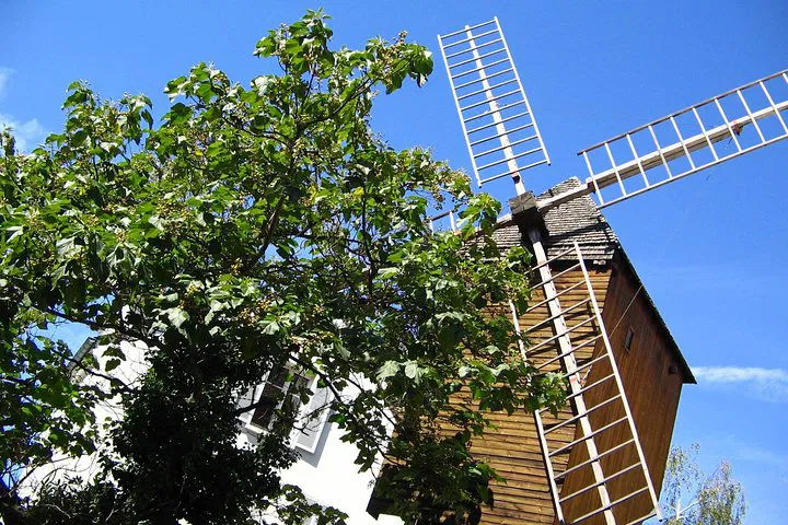 Uncover Montmartre's Bohemian Heart: A Private Historical Walking Tour