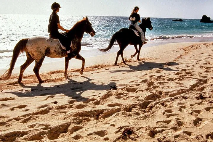 Krabi Beach Horseback Adventure: Ride the Waves!