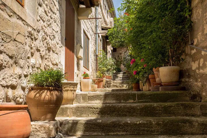 Arles, Les Baux & St-Remy Private Guided Tour