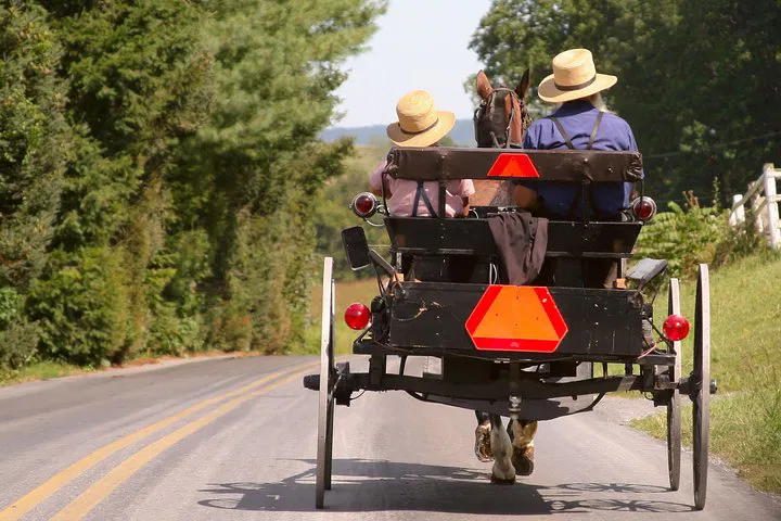 Amish Farm & House Tour: Authentic Amish Experience