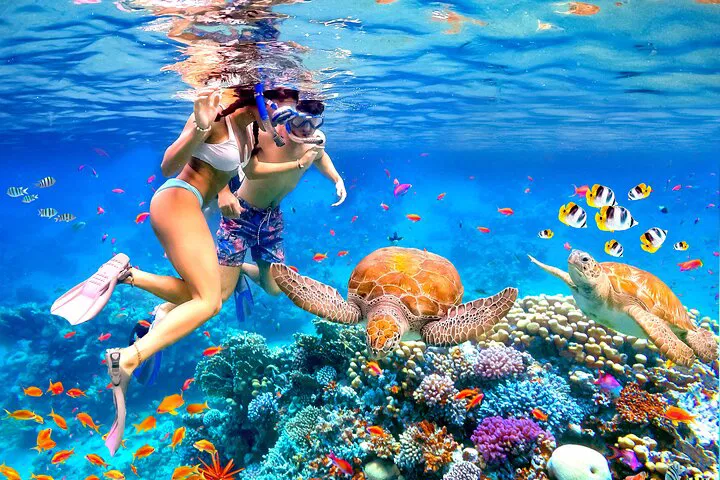 Waikiki Catamaran Adventure: Snorkel with Turtles & Dive into Water Sports Fun!