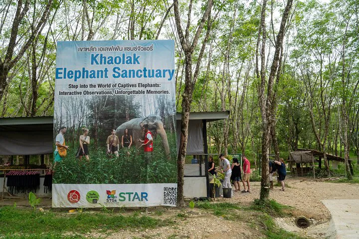 Twilight Elephant Encounter: Khaolak Sanctuary Evening Tour & Cocktails