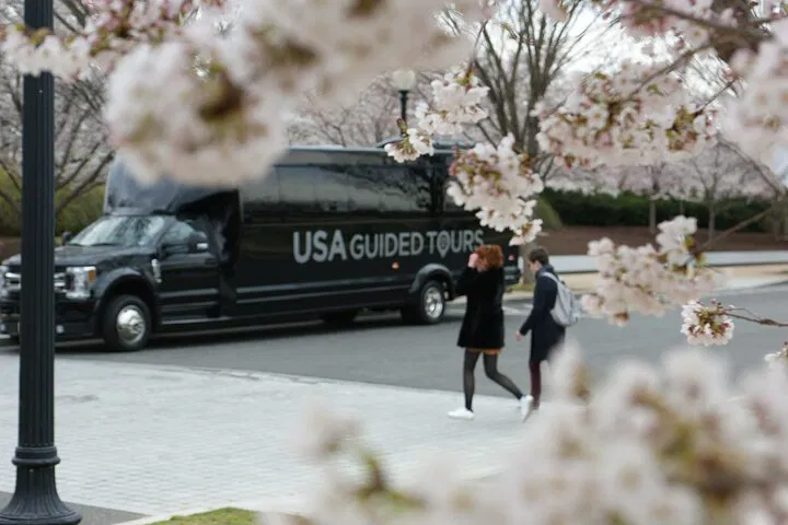 DC Cherry Blossom Bus Tour: Guided Walk & Best Views