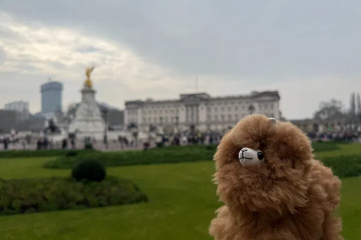 Private London Car Tour: See It All in Comfort!