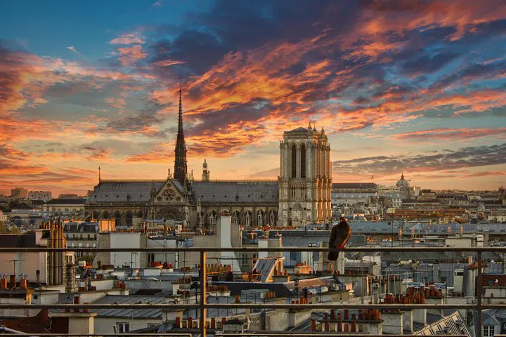 Step Back in Time: Unveiling Medieval Paris on Foot!
