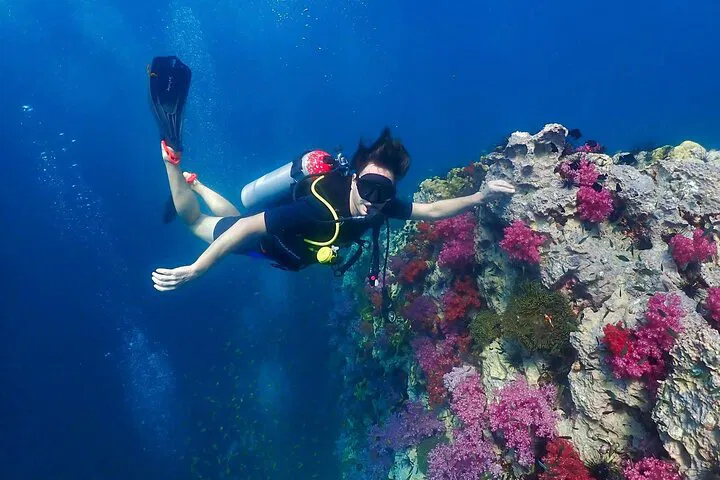 Phuket Scuba Diving: Explore Underwater Wonders for All Levels!